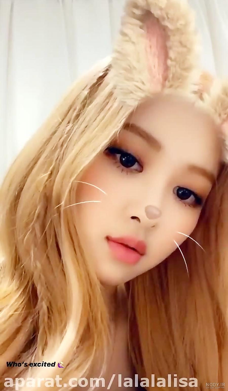بیوگرافی گروه بلک پینک بیوگرافی گروه بلک پینک
