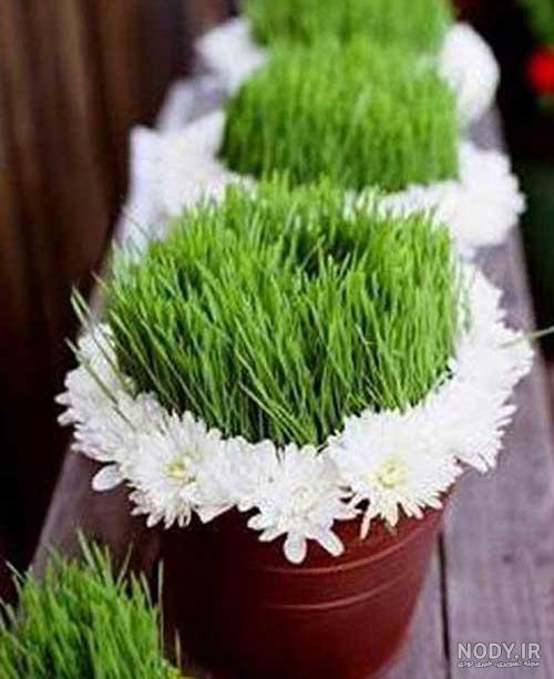 سبزه عیدباارزن