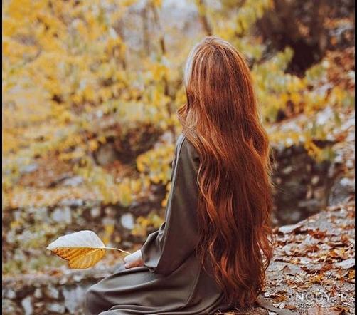 عکس برگ پاییزی