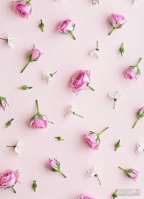 عکس بک گراند زیبا برای گوشی