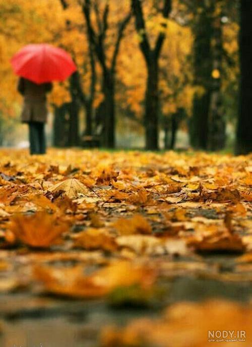 عکس دختر در پاییز غمگین عکس دختر در پاییز غمگین