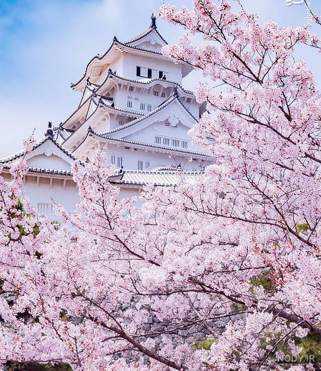 عکس زیبای طبیعت ژاپن