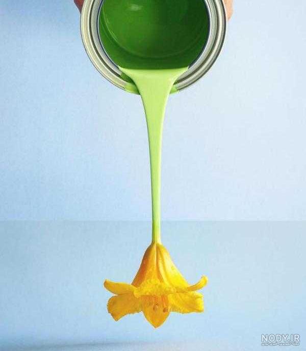 عکس های ترکیبی از طبیعت