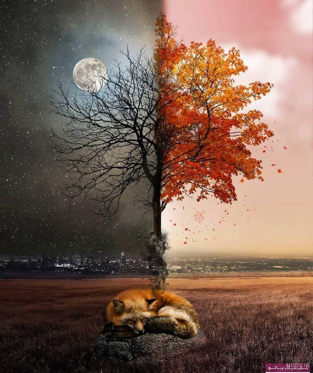 عکس های ترکیبی هنر نهم