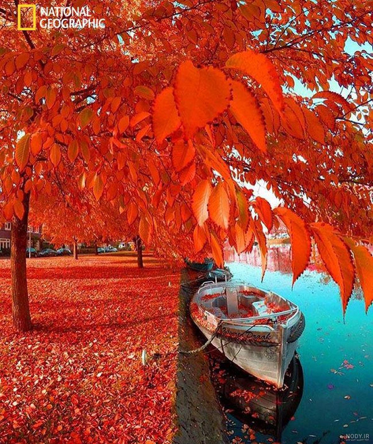 عکس پاییز با کیفیت بالا