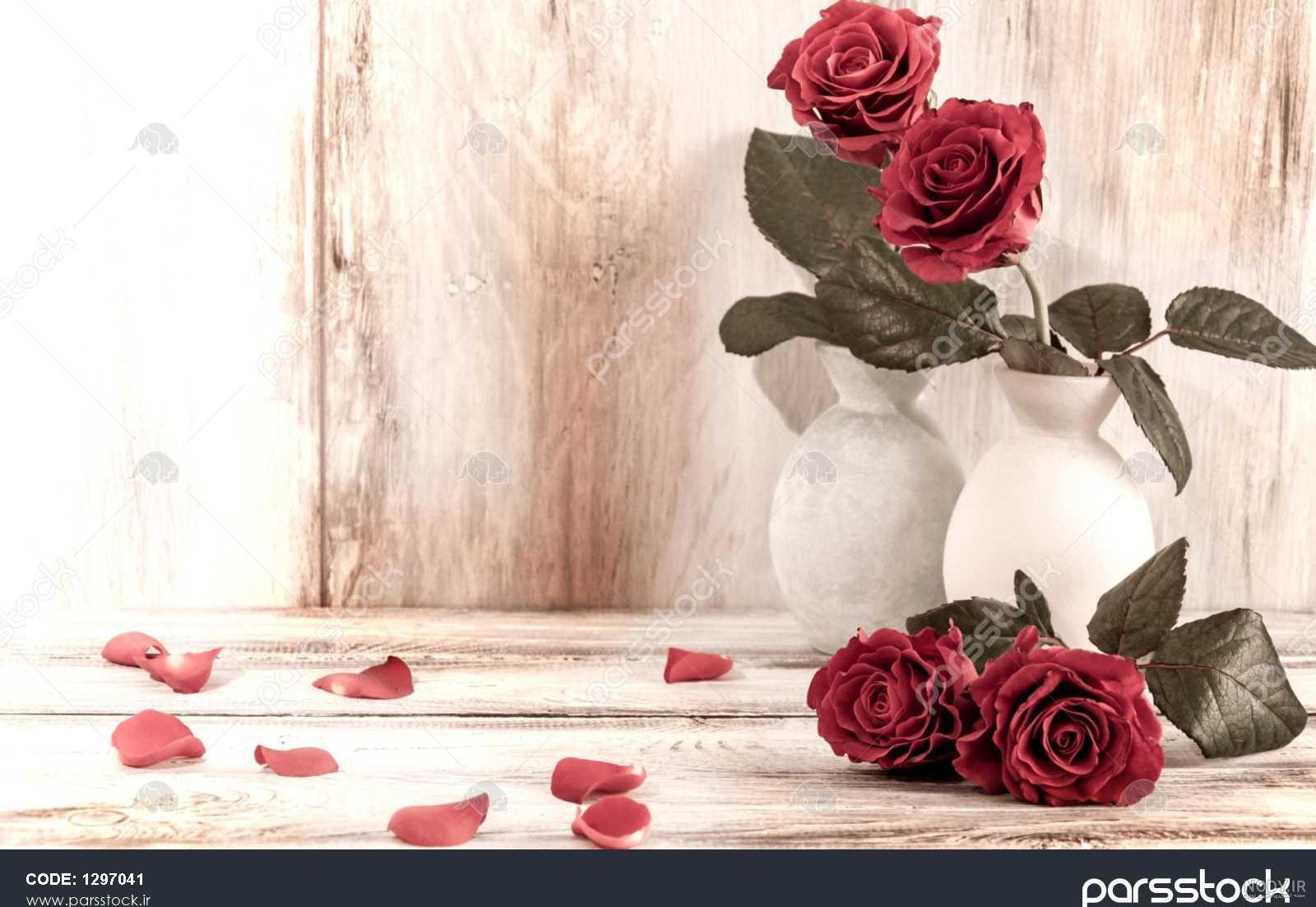 عکس گل رز قرمز عاشقانه عکس گل رز قرمز عاشقانه