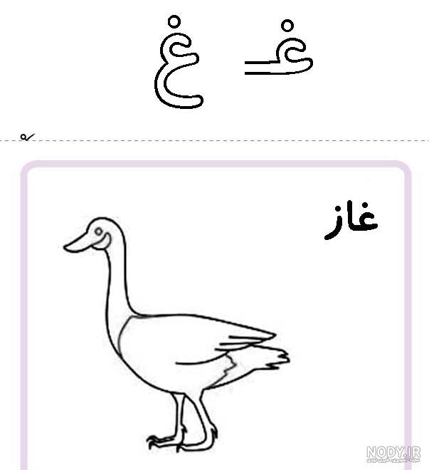 نقاشی حیوان با حرف ض