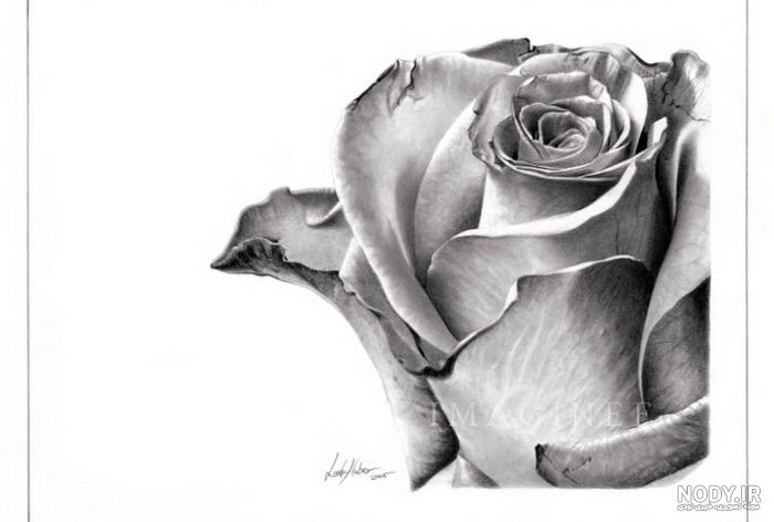 نقاشی سیاه قلم دخترانه نقاشی سیاه قلم دخترانه