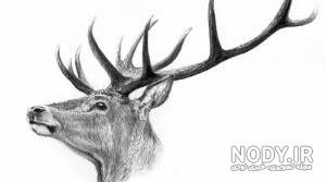 نقاشی گوزن کریسمس نقاشی گوزن کریسمس