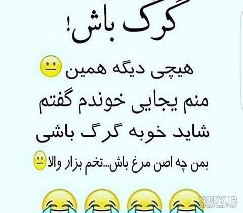 پروف خنده دار بدون متن