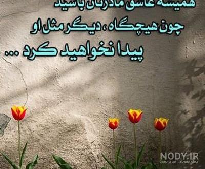پروفایل ترکی آنام پروفایل ترکی آنام