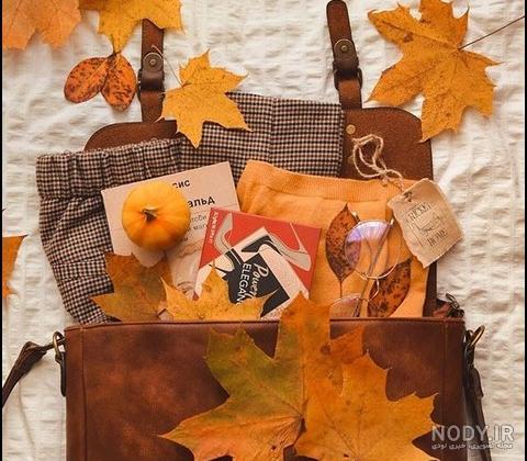 پروفایل پاییزی عاشقانه پروفایل پاییزی عاشقانه