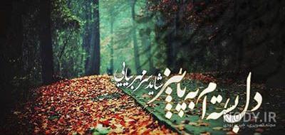 ژست عکس پاییزی در جنگل ژست عکس پاییزی در جنگل