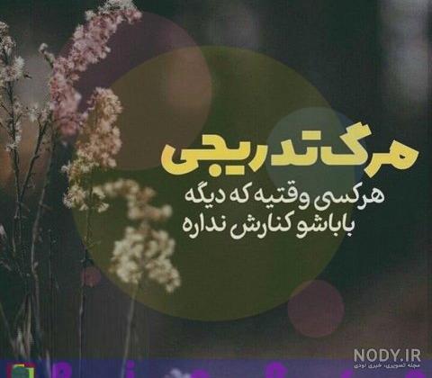 کلیپ پدر شوهر برای وضعیت واتساپ کلیپ پدر شوهر برای وضعیت واتساپ