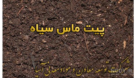 آیا در مناطق پردرخت عمق خاک بیشتر است