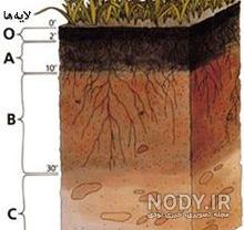 اسم انواع خاک