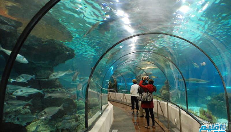 جاهای دیدنی قشم جاهای دیدنی قشم