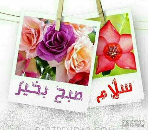 دانلود البوم عکس مذهبی