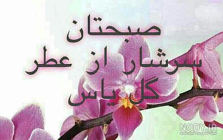 صبح بخیر جدید 98