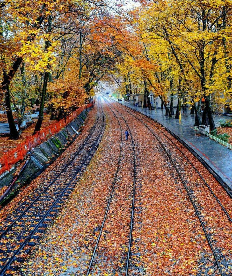 عکس بارانی دخترانه
