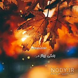 عکس بارانی دخترانه عکس بارانی دخترانه