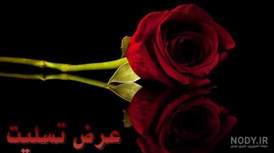 عکس برای شهادت امام محمد باقر