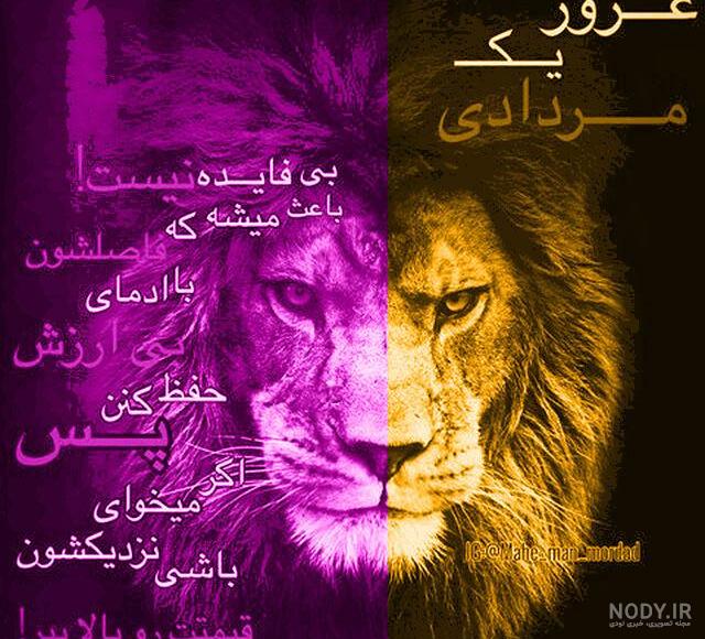 عکس شیر مردادی