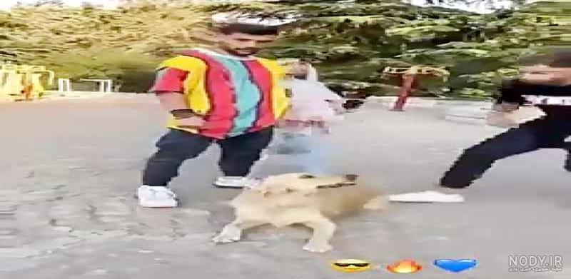 عکس نیکا فلاحی بدون ارایش عکس نیکا فلاحی بدون ارایش