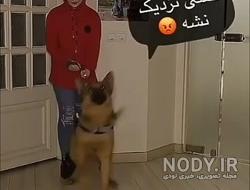 عکس نیکا فلاحی و همسرش عکس نیکا فلاحی و همسرش