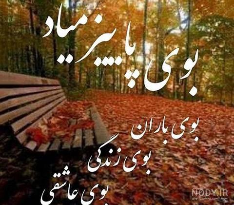 عکس پاییز امد