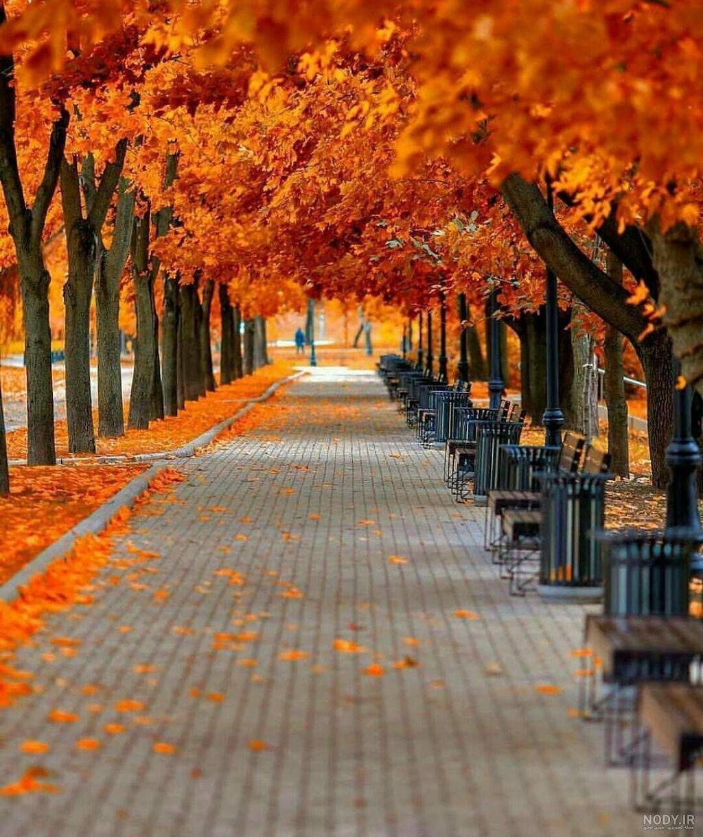 عکس پاییز ساده و زیبا