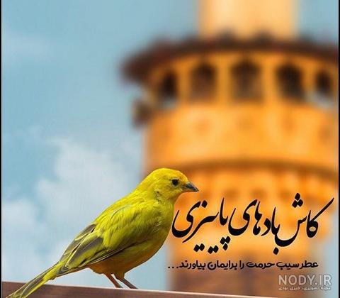 عکس پاییزی عکس پاییزی