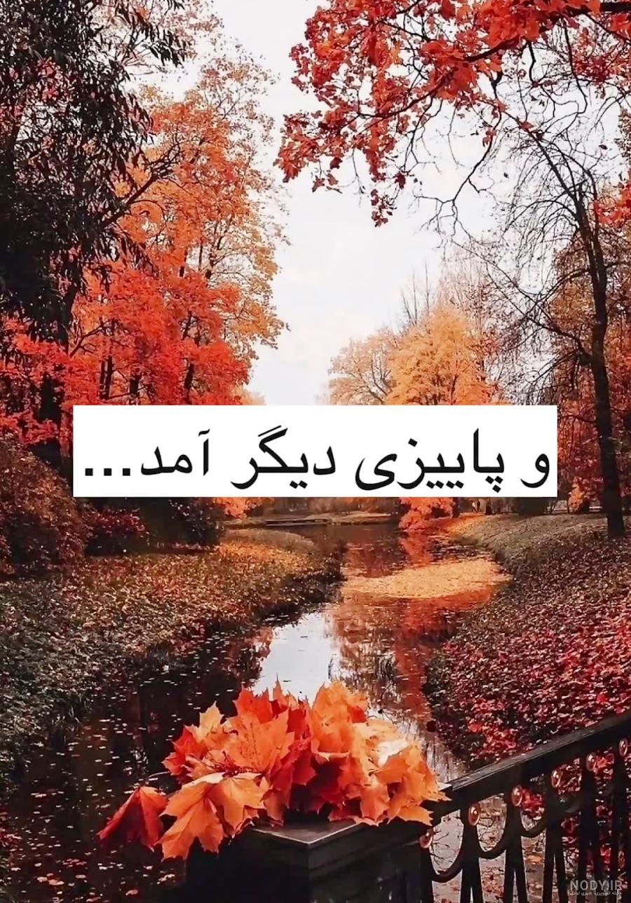 عکس پروفایل بارانی شاد