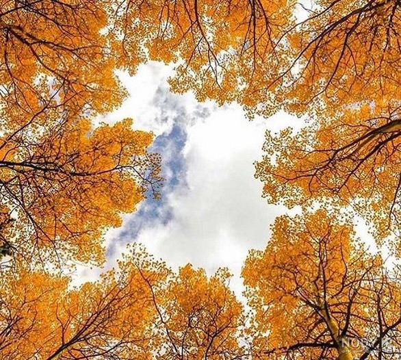عکسهای زیبا از طبیعت پاییزی