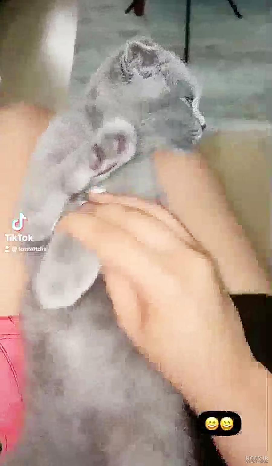 نیکا فلاحی اهل کجاست نیکا فلاحی اهل کجاست