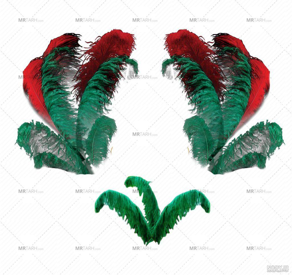 وکتور پروانه وکتور پروانه