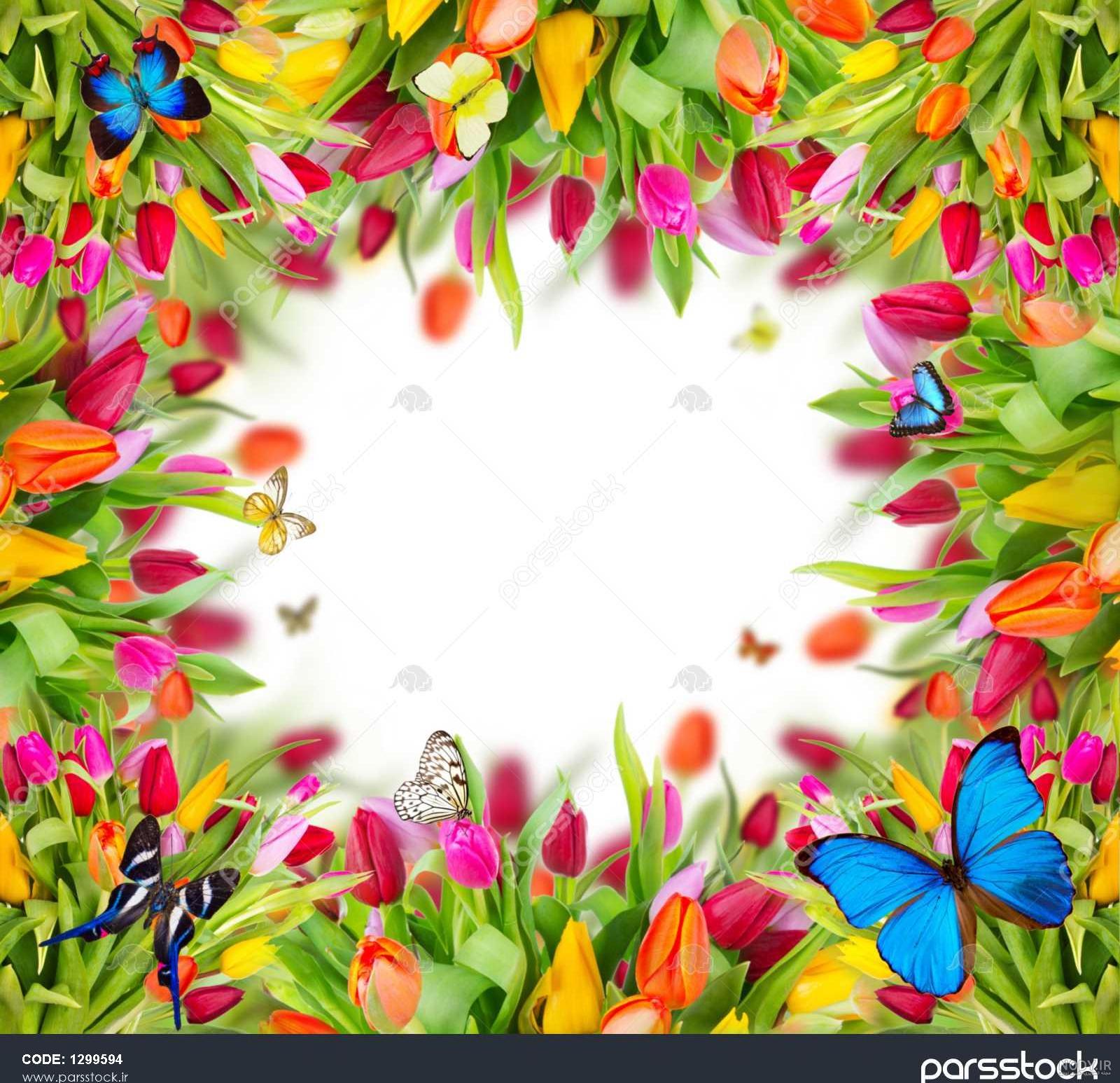 پس زمینه برای طراحی پوستر پس زمینه برای طراحی پوستر