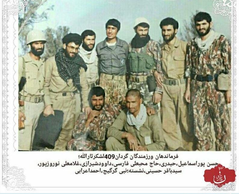 گرگیج ها
