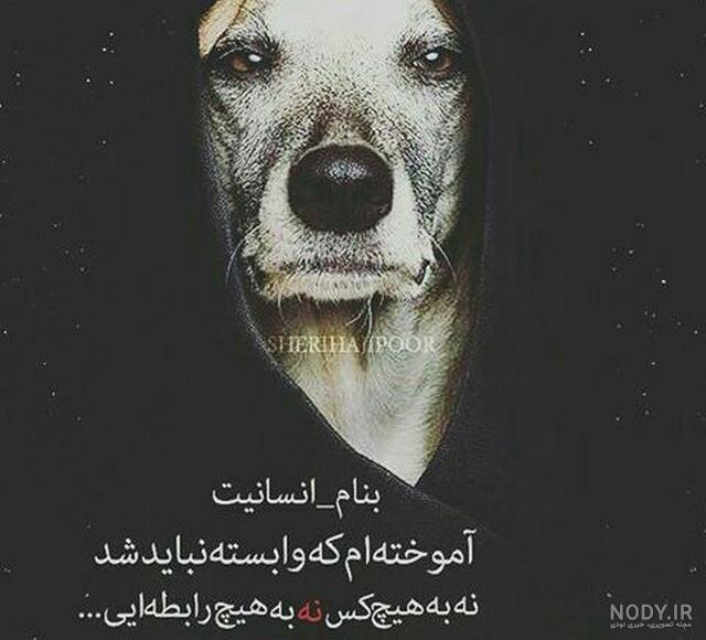 تنهایی لاتی تره یعنی چی تنهایی لاتی تره یعنی چی