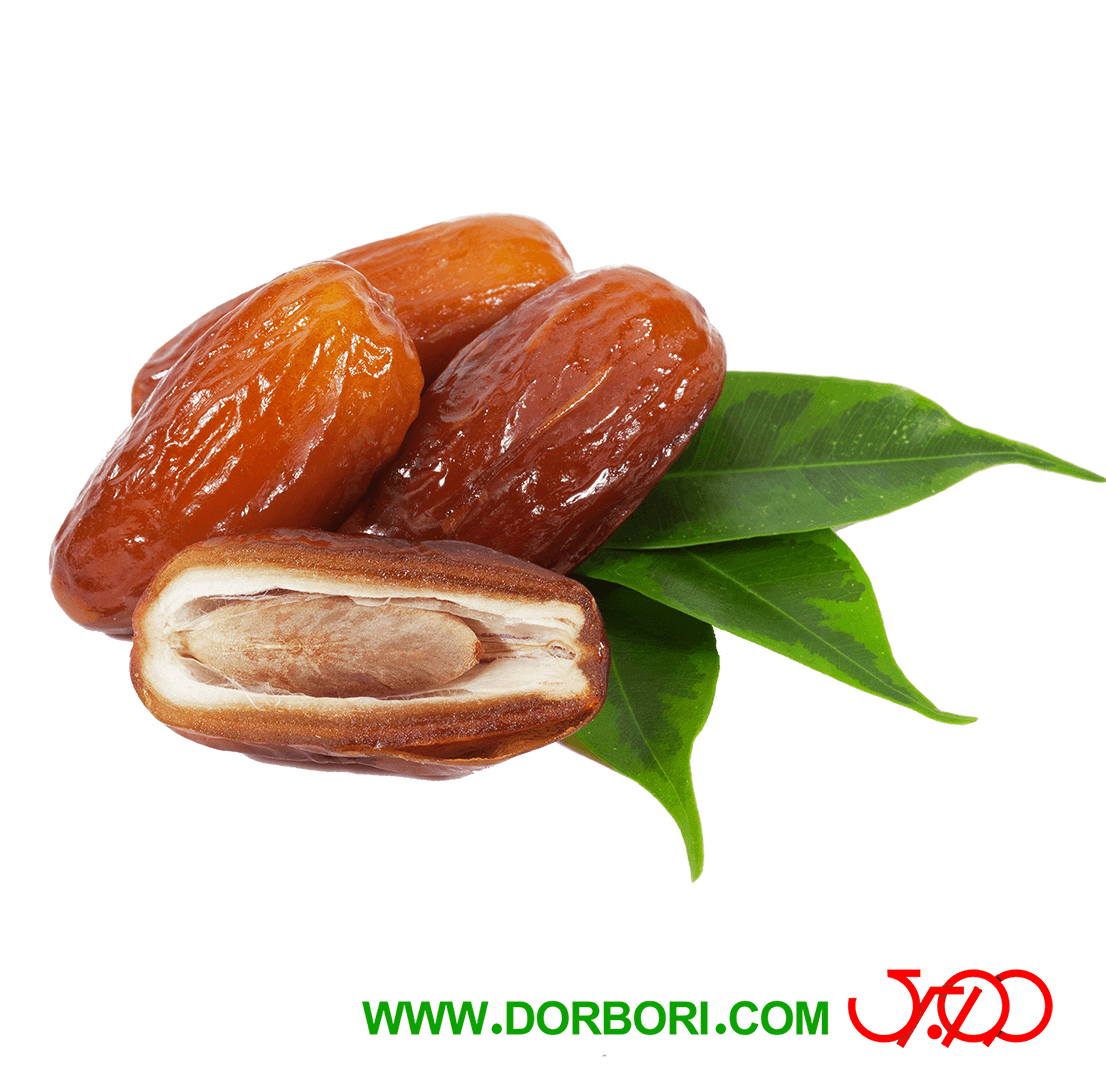 عکس وکتور خرما عکس وکتور خرما