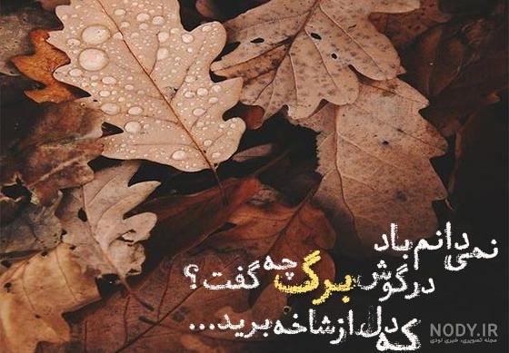 عکس پاییز دخترانه