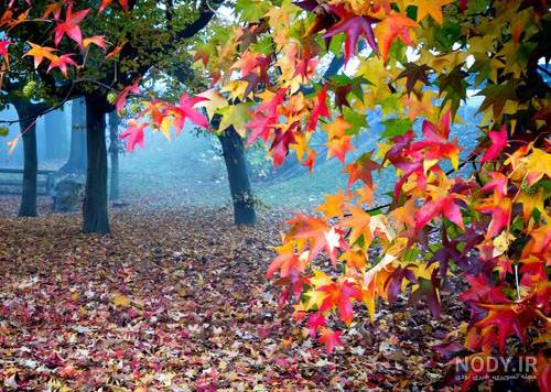 عکس پاییزی عکس پاییزی