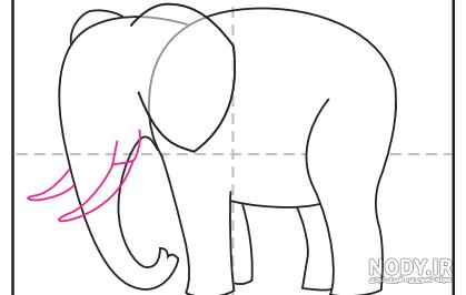 نقاشی فیل زیبا