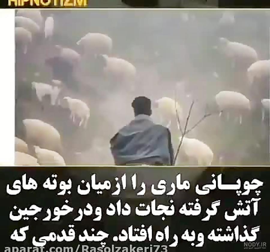 کلیپ وضعیت واتساپ پندآموز
