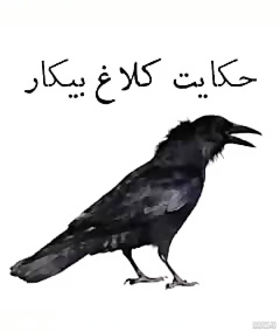 کلیپ پند آموز خنده دار