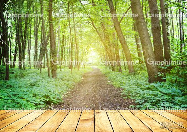 عکس پس زمینه جنگل کارتونی عکس پس زمینه جنگل کارتونی