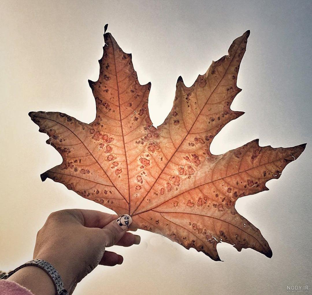 عکس نقاشی درخت چنار