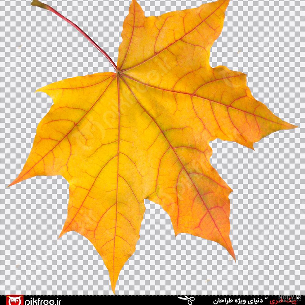 عکس نقاشی درخت چنار