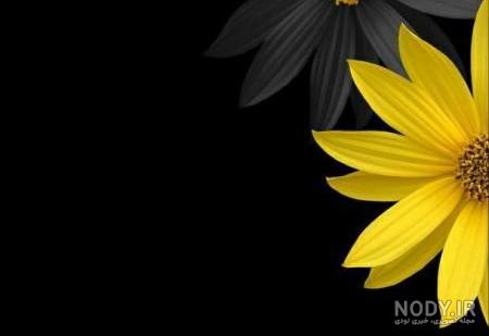 عکس پروفایل ایمو عاشقانه