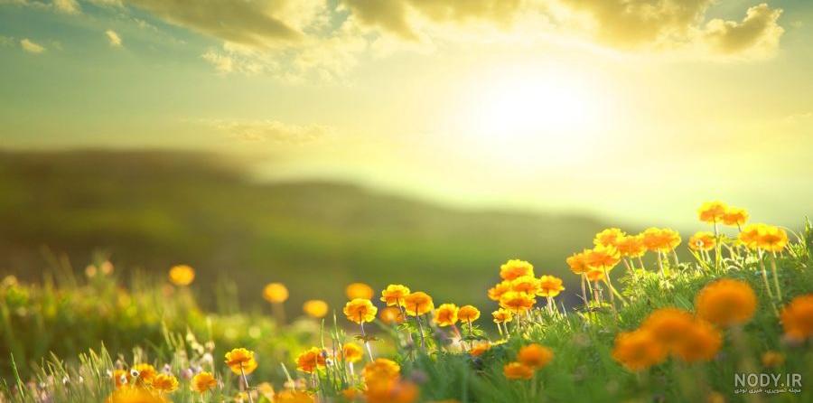 استیکر صبح بخیر مذهبی استیکر صبح بخیر مذهبی